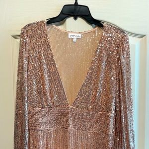 New with tags Blush sequins dress. Pretty sparkly long dress